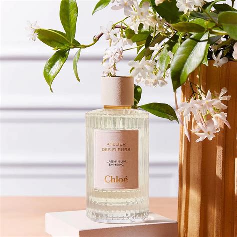 chloe jasminum sambac fragrantica